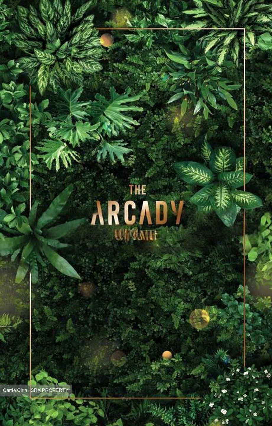 THE ARCADY AT BOON KENG (D12), Apartment #424702071